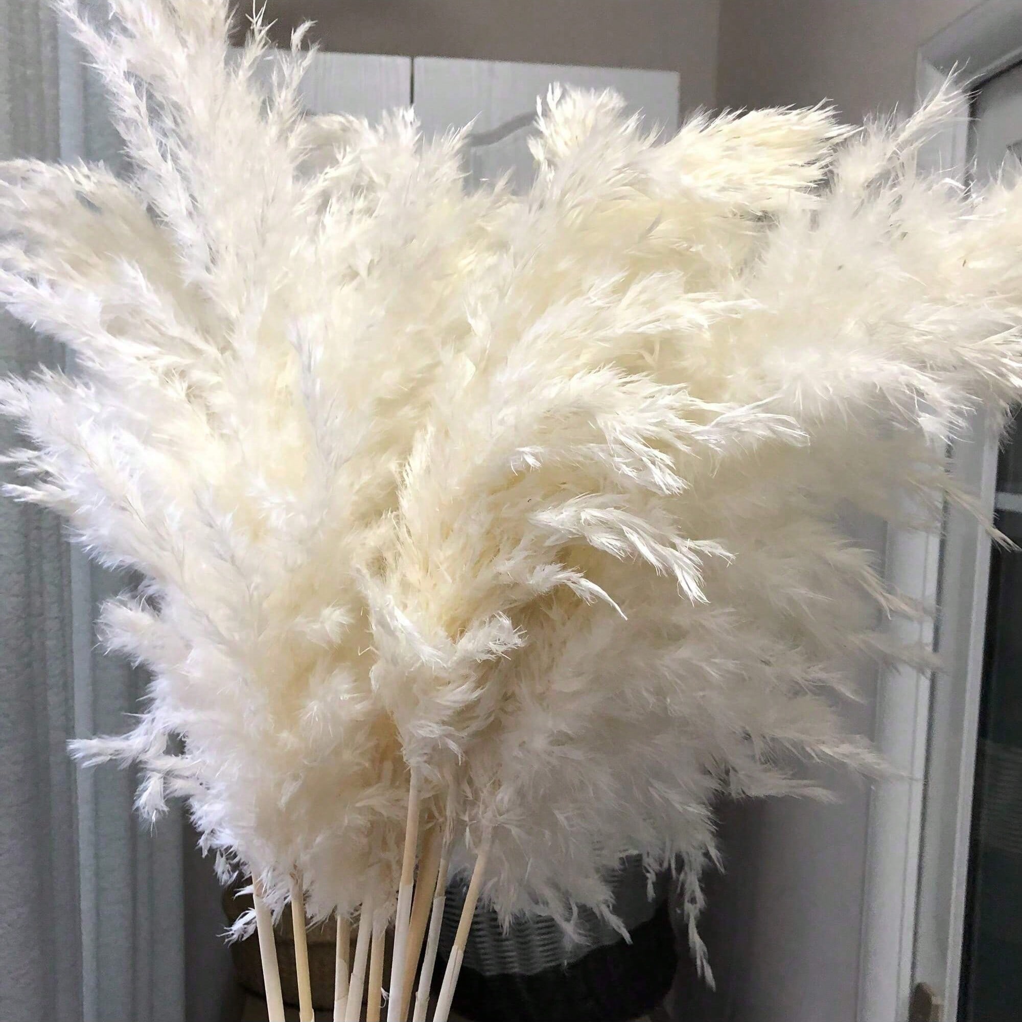 Wedding Arch Flower - 10/20/30pcs White Artificial Pampas Grass Decor