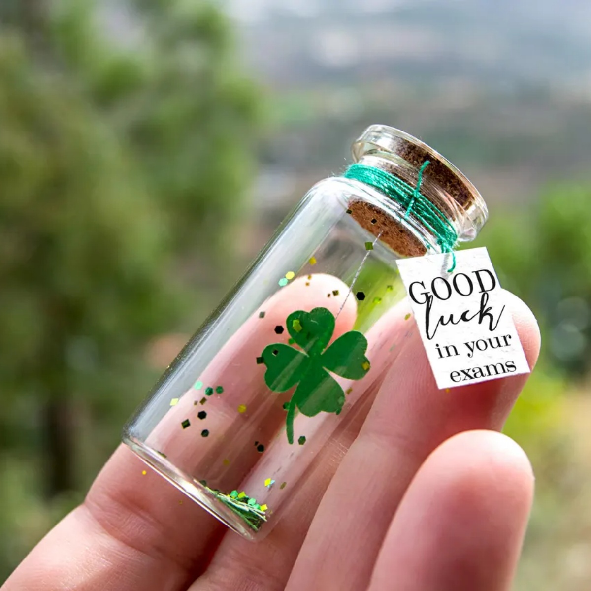 Good luck gift Best of luck Go - Wedding Job 评论和价格
